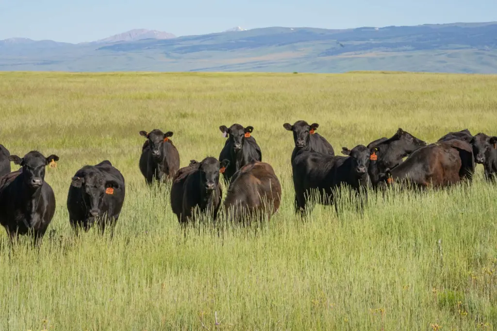 Riverbend Ranch Partner Ranches