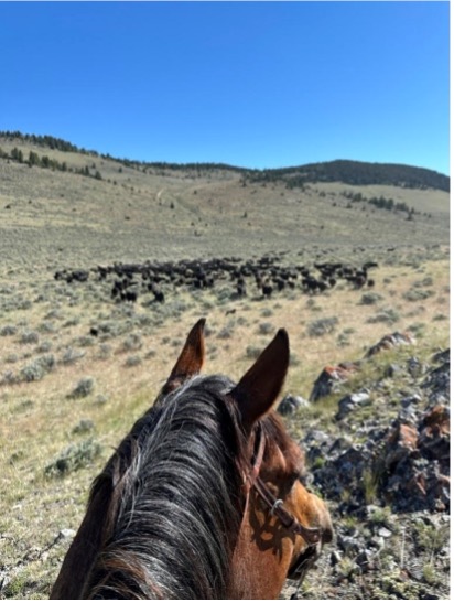 Riverbend Ranch Partner Ranchers