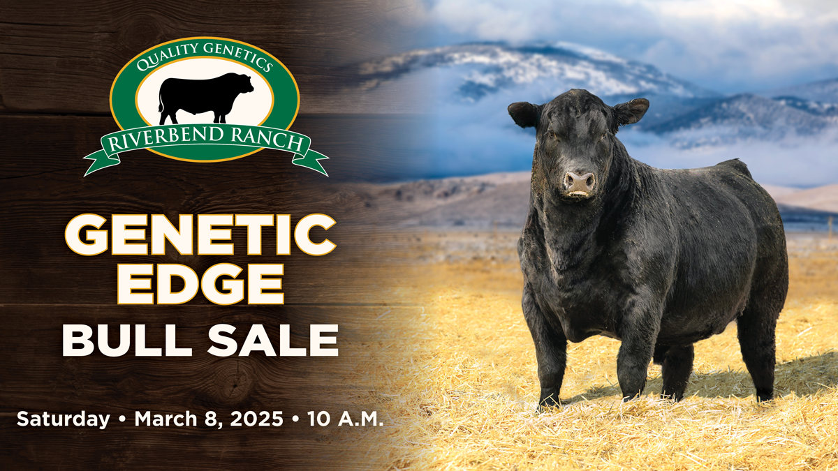 Riverbend Ranch Genetic Edge Bull Sale