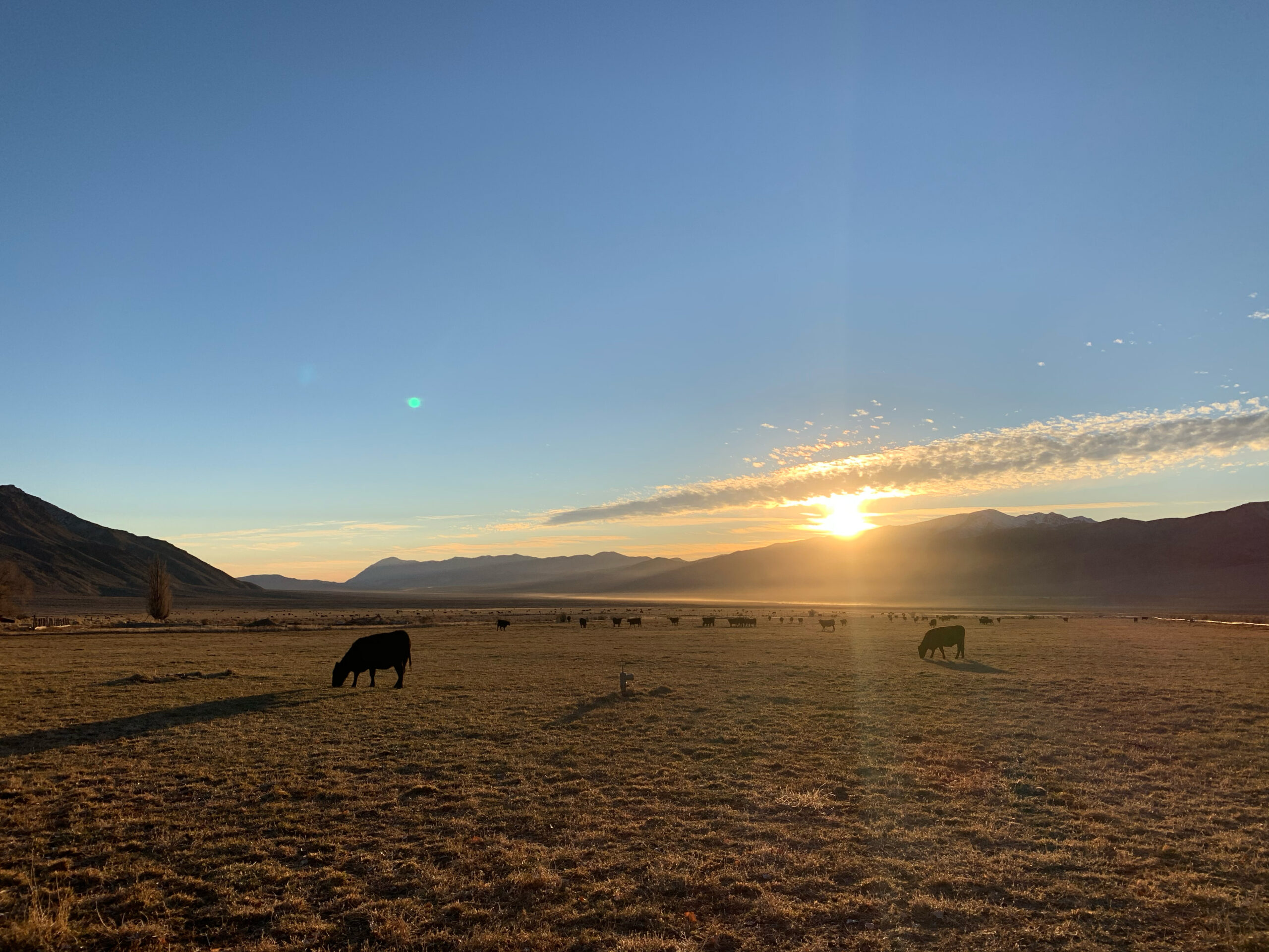 Riverbend Ranch Partner Ranches