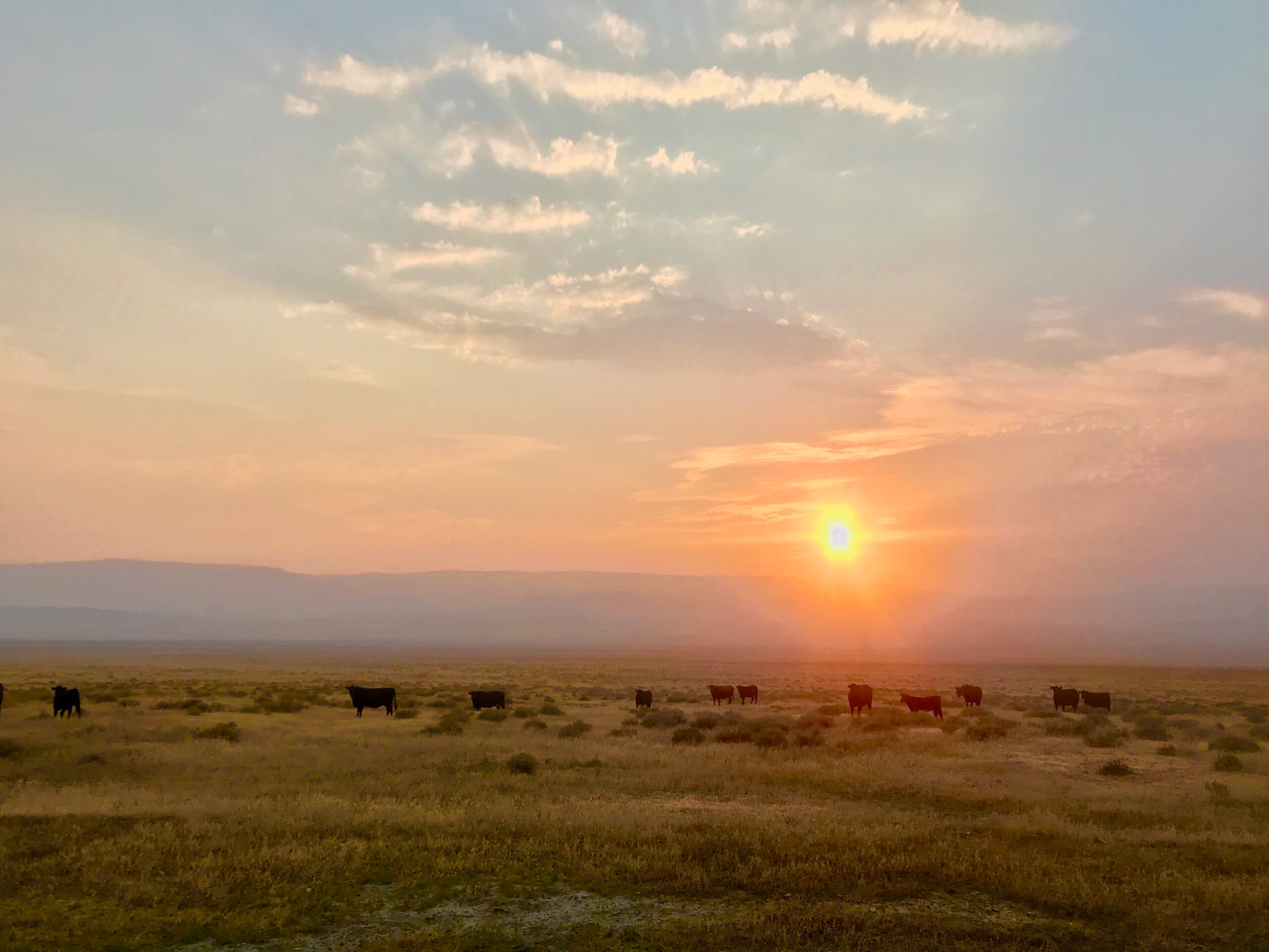 Riverbend Ranch Partner Ranches