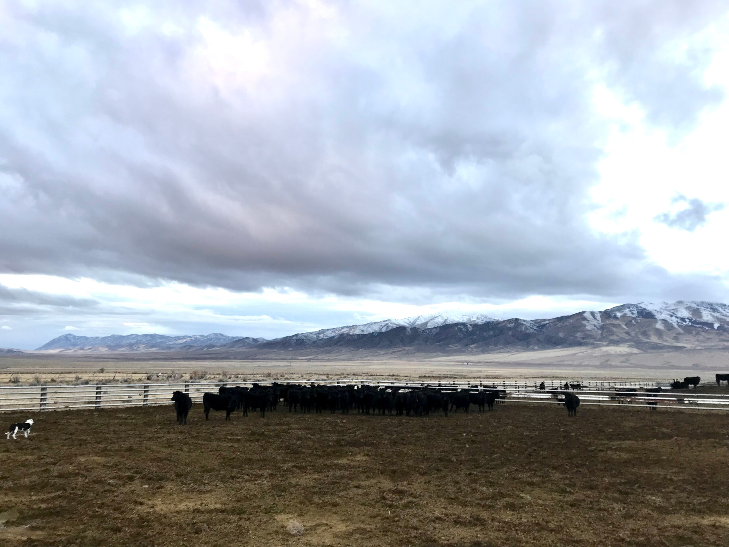 Riverbend Ranch Partner Ranches