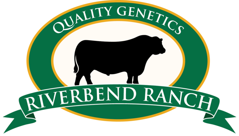 Bulls Hit Ranch Bull Sale - Riverbend Ranch