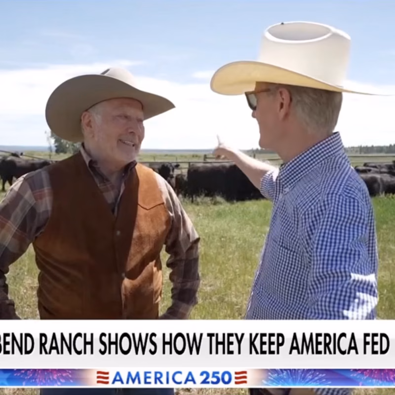Riverbend Ranch Fox and Friends