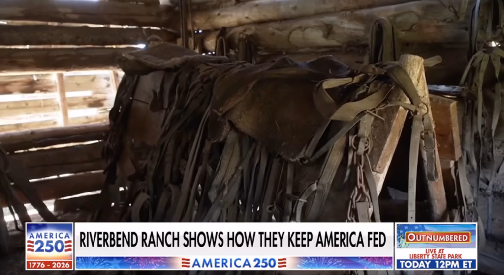 Riverbend Ranch Fox and Friends